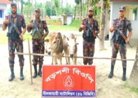 আমাদেরজাগরণ